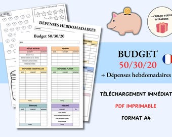 Feuille de Budget 50/30/20, Budget Mensuel 50-30-20, Budget Mensuel en Français et Imprimable, Fiche Budget PDF, Défis Epargne, Budget Facil