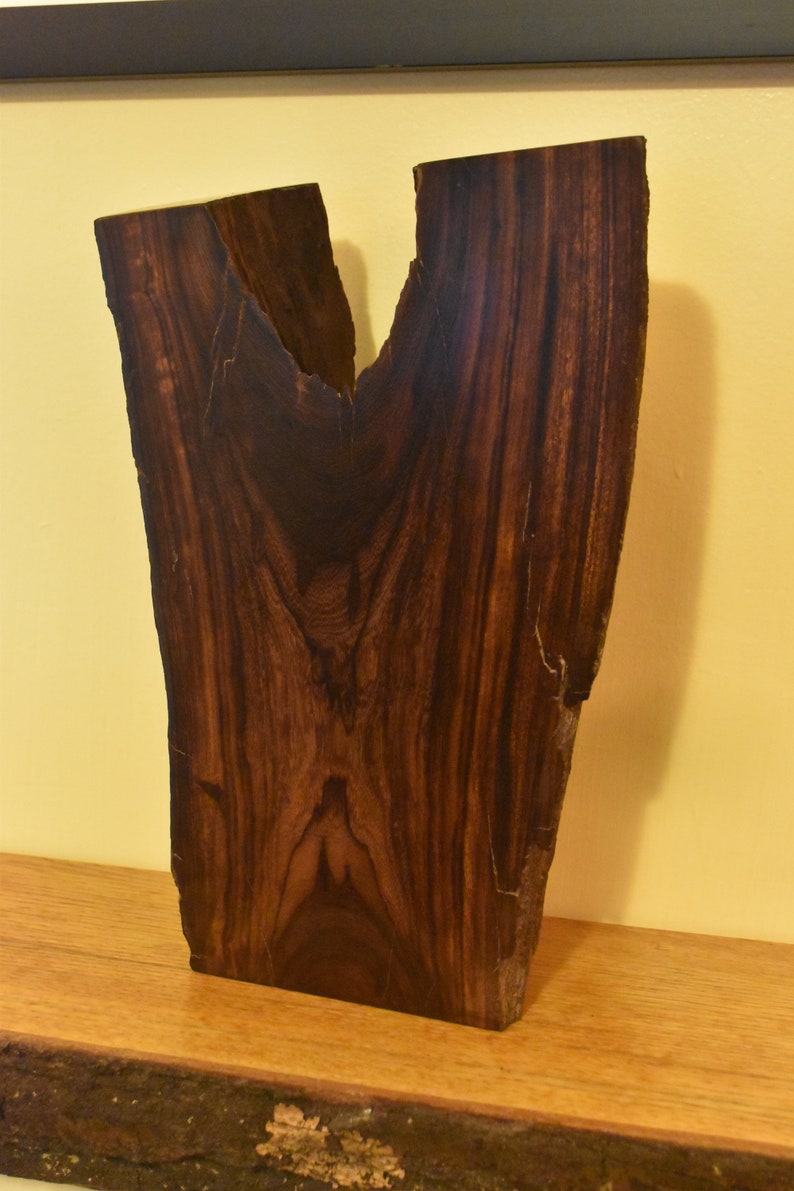 Desert Ironwood Sculpture No. 3 image 2