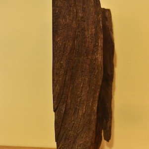 Desert Ironwood Sculpture No. 3 image 6