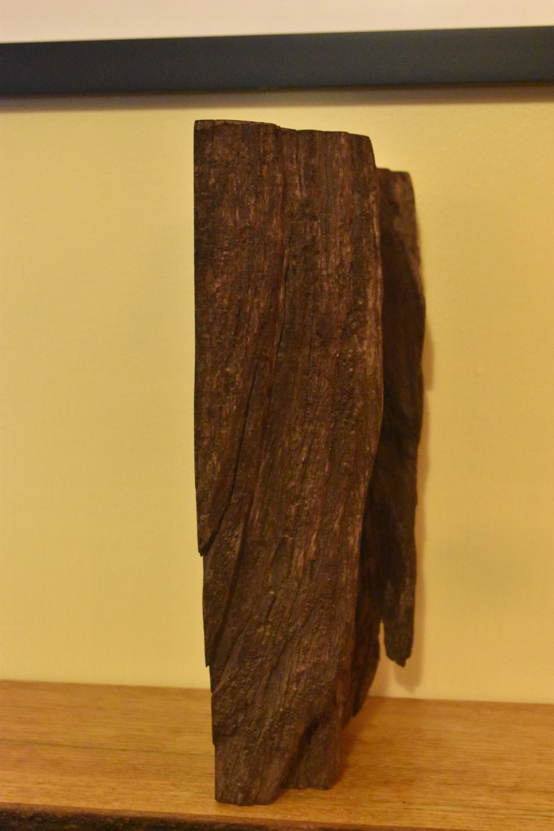 Desert Ironwood Sculpture No. 3 image 6
