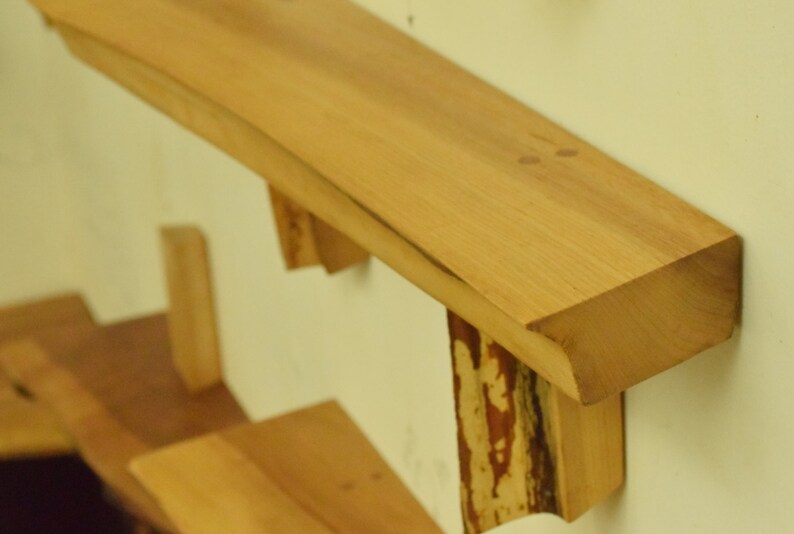 No. 56 Thick Elm Live Edge Shelf image 1