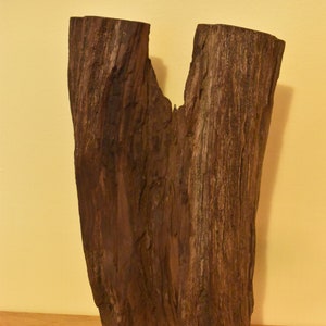 Desert Ironwood Sculpture No. 3 image 5