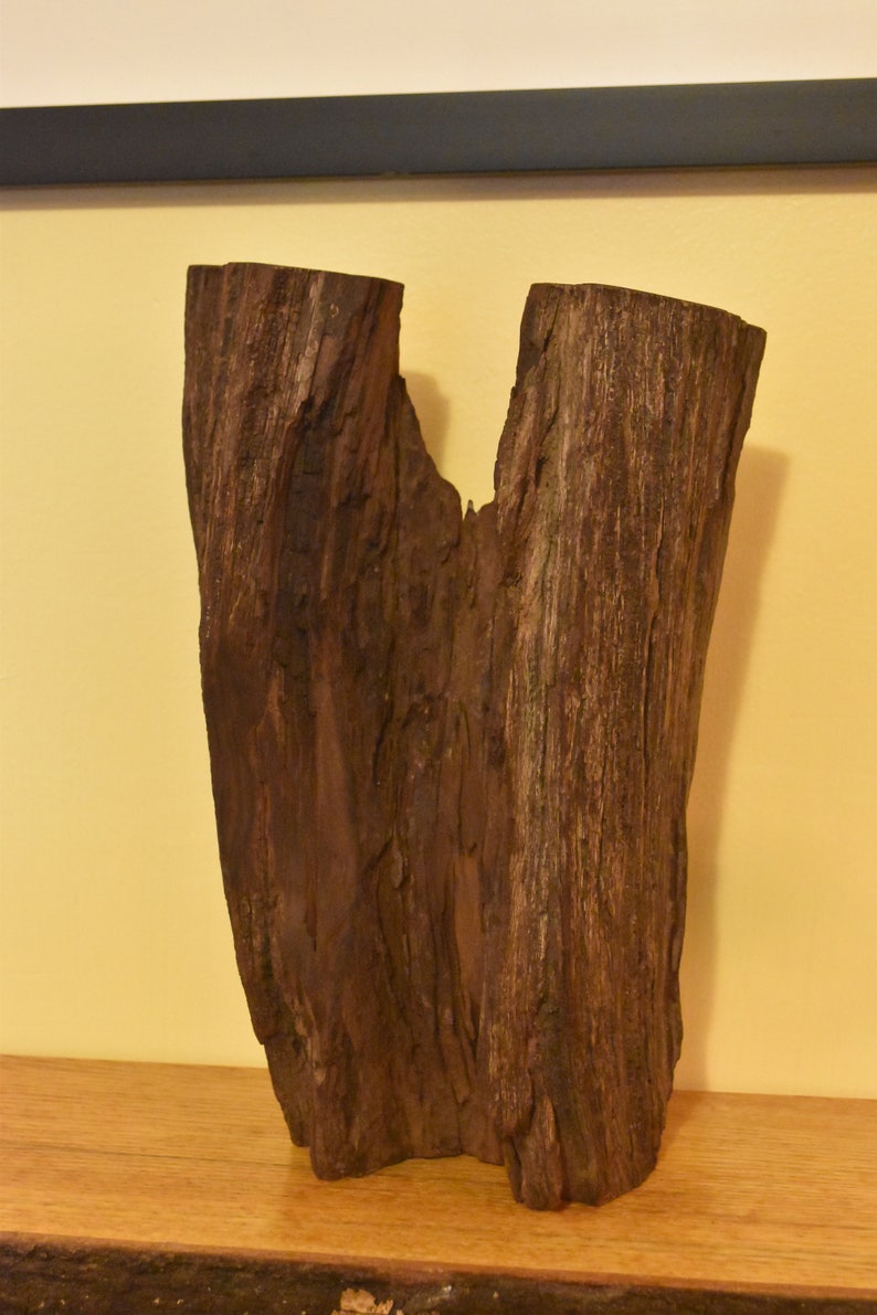Desert Ironwood Sculpture No. 3 image 5