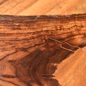 Desert Ironwood Sculpture - No. 3