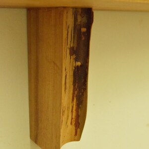 No. 56 Thick Elm Live Edge Shelf image 3