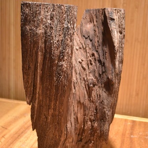 Desert Ironwood Sculpture No. 3 image 7
