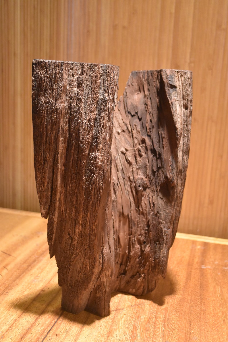 Desert Ironwood Sculpture No. 3 image 7