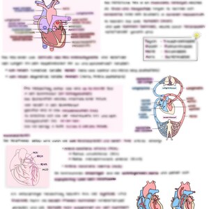 May include: A diagram of the human heart, showing the chambers, valves, and blood flow. The diagram is labeled in German, with terms like "Aorta", "Vena Cava", and "Herzmuskel".