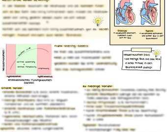 Learning notes on preload of the heart, learning notes on the cardiovascular system, learning notes on the heart, learning notes on medicine
