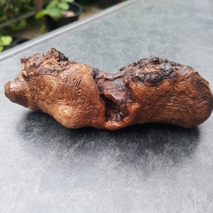 Tree bead pipe ritual pipe pure pipe wooden pipe oak gift