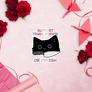 Support trans rights or perish stickers