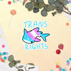 Trans rights stickers