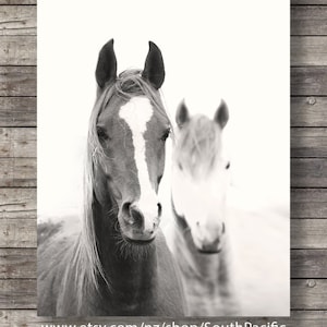 Wild Horses art print Horse faces photograph Sepia Horses photo Printable wall art Horse decor black and white boho horses boho