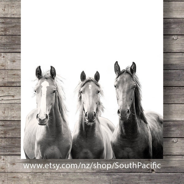 Black and White Horse Prints Etsy Australia