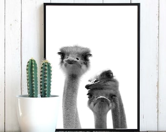 Ostriches art print, Cute Ostrich face, Sepia Ostrich photo Printable wall art