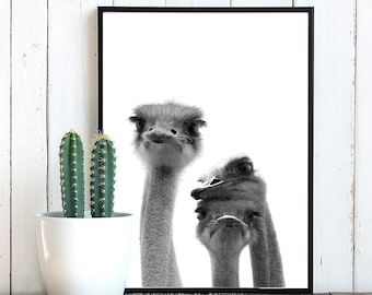DESIGN WALL HANGING A4 BLACK WHITE SCANDINAVIAN EMU OSTRICH MODERN ART PRINT DESIGN WALL HANGING A4 BLACK WHITE SCANDINAVIAN EMU OSTRICH MODERN ART PRINT