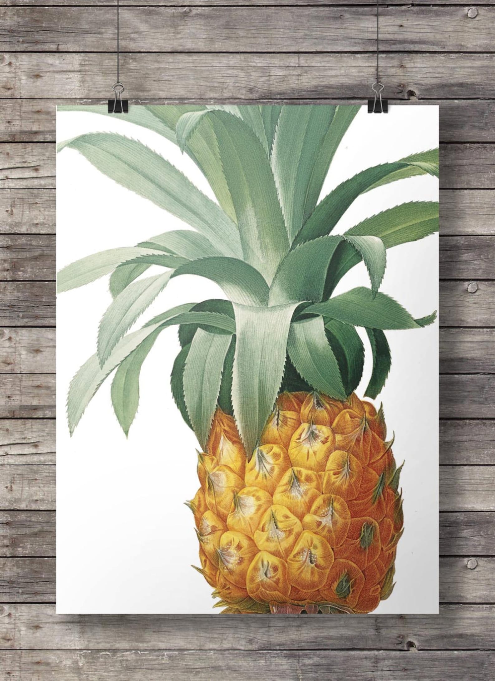 Pineapple Wall Art Printable Pineapple Decor Vintage | Etsy