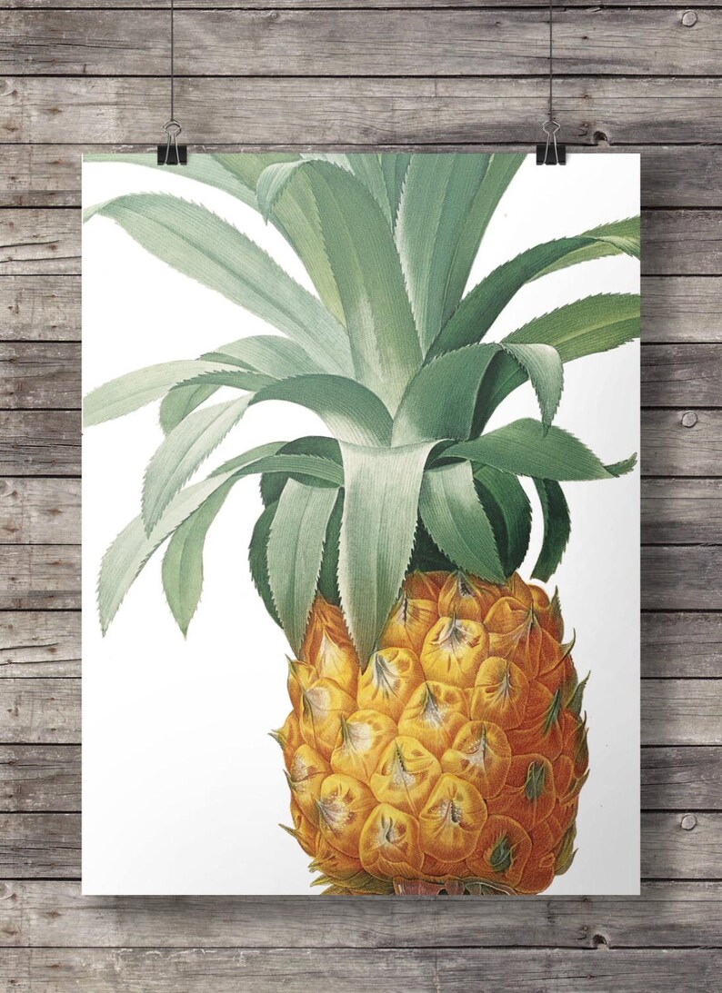 Pineapple Wall Art Printable Pineapple Decor Vintage Etsy