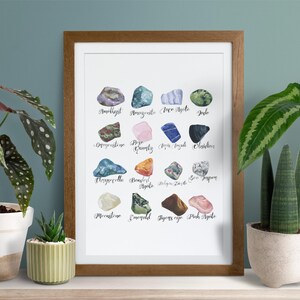 Puede incluir: Una impresi&oacute;n enmarcada con ilustraciones de acuarela de 18 piedras preciosas diferentes. Cada piedra preciosa est&aacute; etiquetada con su nombre en escritura cursiva. La impresi&oacute;n se muestra en un estante con plantas en macetas.