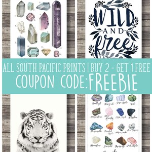 May include: Four art prints displayed. One features various gemstones with labels. Another has a black and white tiger portrait. A third print displays the words "WILD AND FREE" in navy blue. The fourth print shows numbered gemstone illustrations.