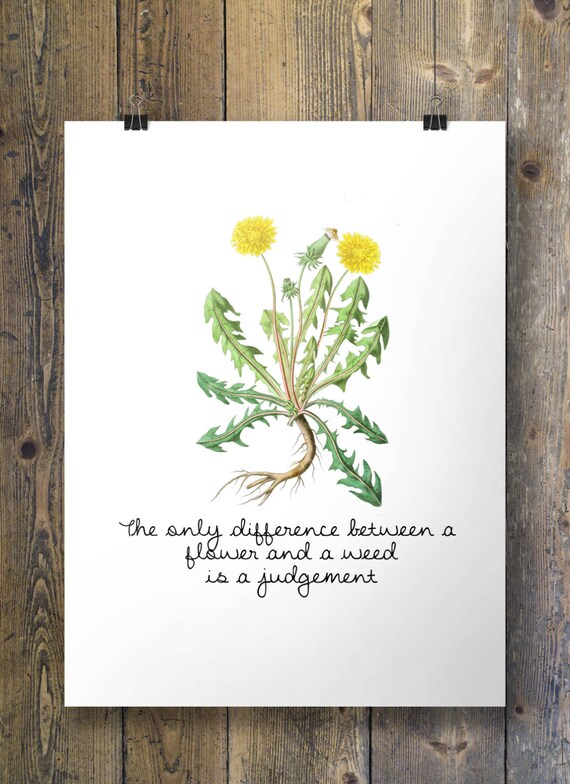 The only difference between a flower and a weed is a judgement