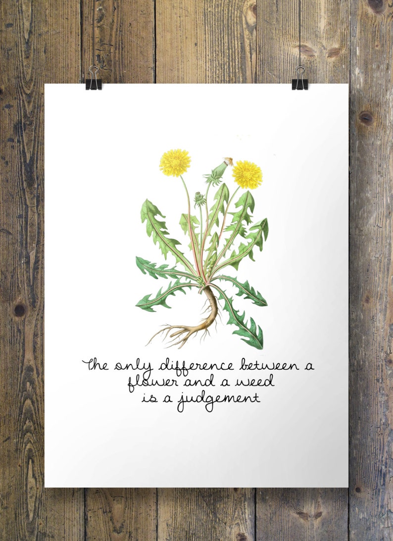 Printable Art the Only Difference Between a Flower and a Weed Etsy