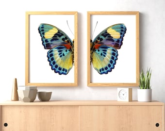 Vintage butterfly art print | Fall decor | two piece butterfly art