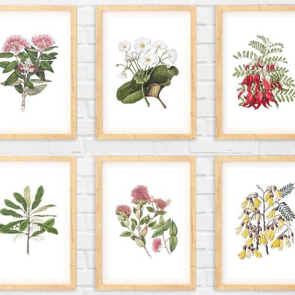 Vintage Nieuw-Zeelandse inheemse botanische illustraties | Afdrukbare kunst | Set van zes