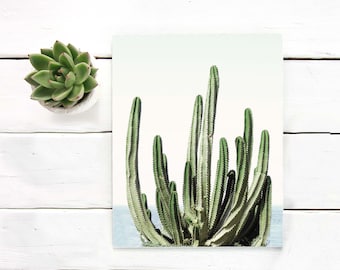 Cacti art print Printable art Desert cactus photo, cactus botanical decor Printable wall art cacti art