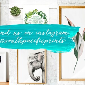 May include: A collage of framed prints featuring various animal and nature illustrations, including a lion, butterfly, elephant, and tropical leaves. The text "find us on instagram @southpacificprints" is written in white on a turquoise blue background.