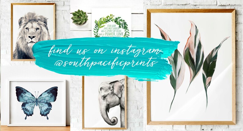 May include: A collage of framed prints featuring various animal and nature illustrations, including a lion, butterfly, elephant, and tropical leaves. The text "find us on instagram @southpacificprints" is written in white on a turquoise blue background.