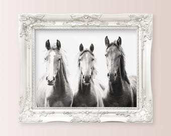 Wild Horses art print |  Sepia Horses photo | Printable wall art