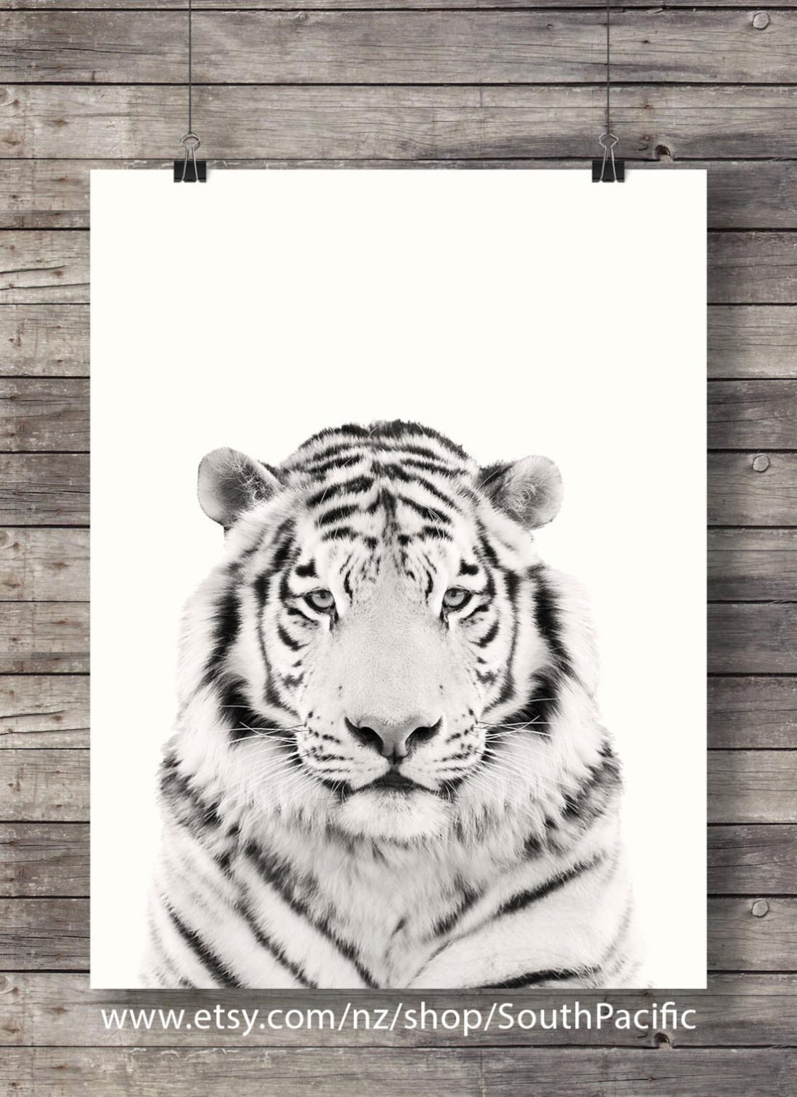 White Tiger Art Print Printable Wall Art Tiger Face Tiger Etsy