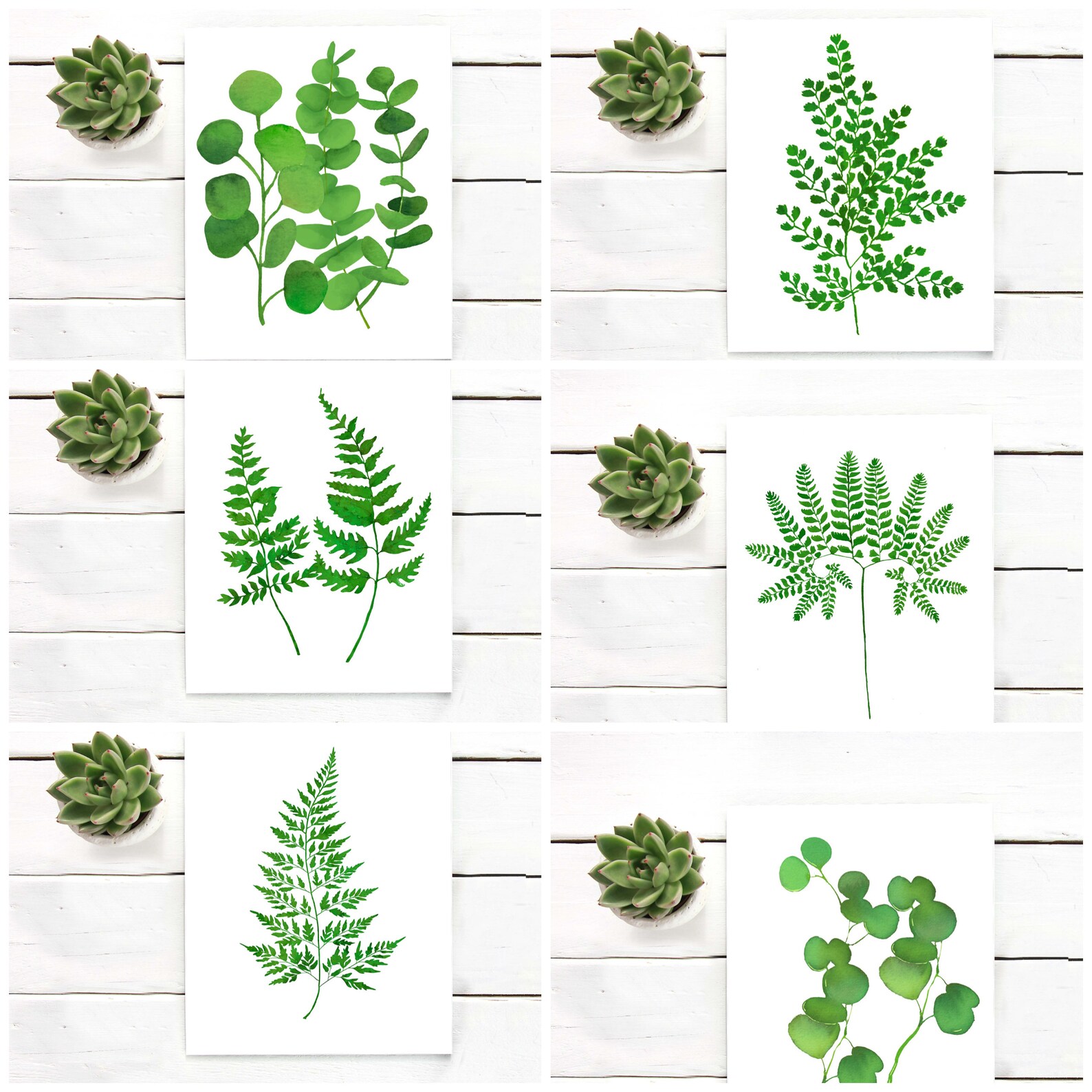 Fern Prints Printable Art Set of 5 Watercolor Green Fern Leaf - Etsy Fern Prints Printable Art Set of 5 Watercolor Green Fern Leaf - Etsy