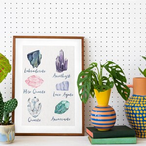 May include: A framed print featuring watercolor illustrations of various crystals, including Labradorite, Amethyst, Rose Quartz, and Quartz. The print is displayed with decorative vases and potted plants against a white backdrop with black polka dots.