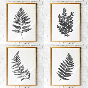 16x20 Fern prints  Printable art set of 4 watercolor black ink