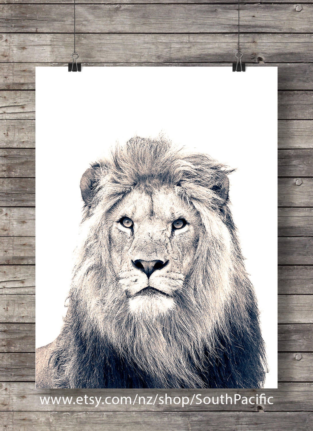 Bible Verse Lion Art Print Psalm 23v4 Scripture Lion Face