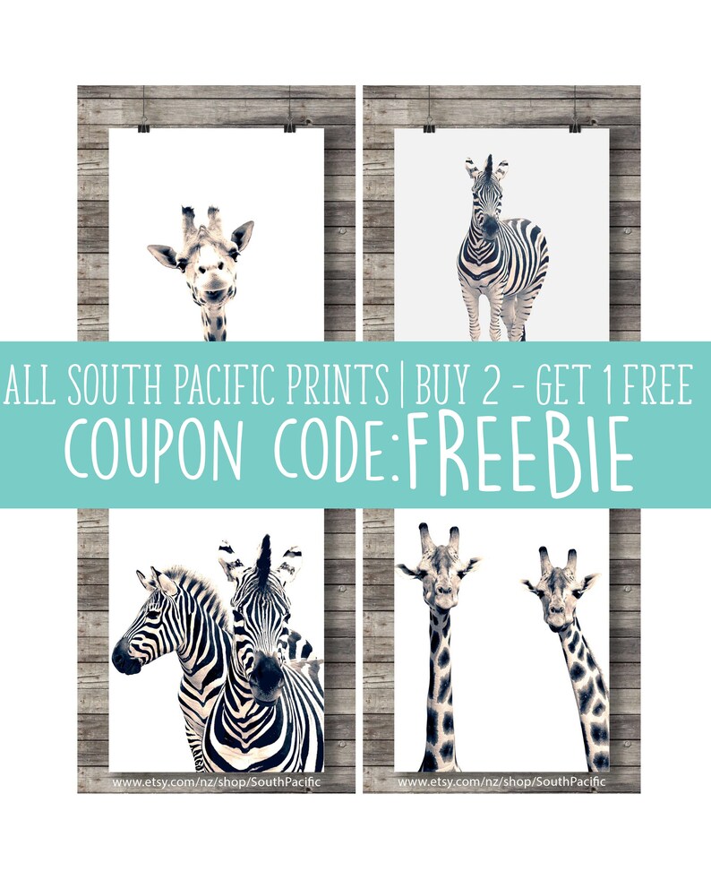 May include: Four framed animal prints featuring a giraffe, a zebra, and two zebras together, and two giraffes. The prints are displayed against a wooden background. The text "ALL SOUTH PACIFIC PRINTS | BUY 2 - GET 1 FREE COUPON CODE: FREEBIE" is also visible.