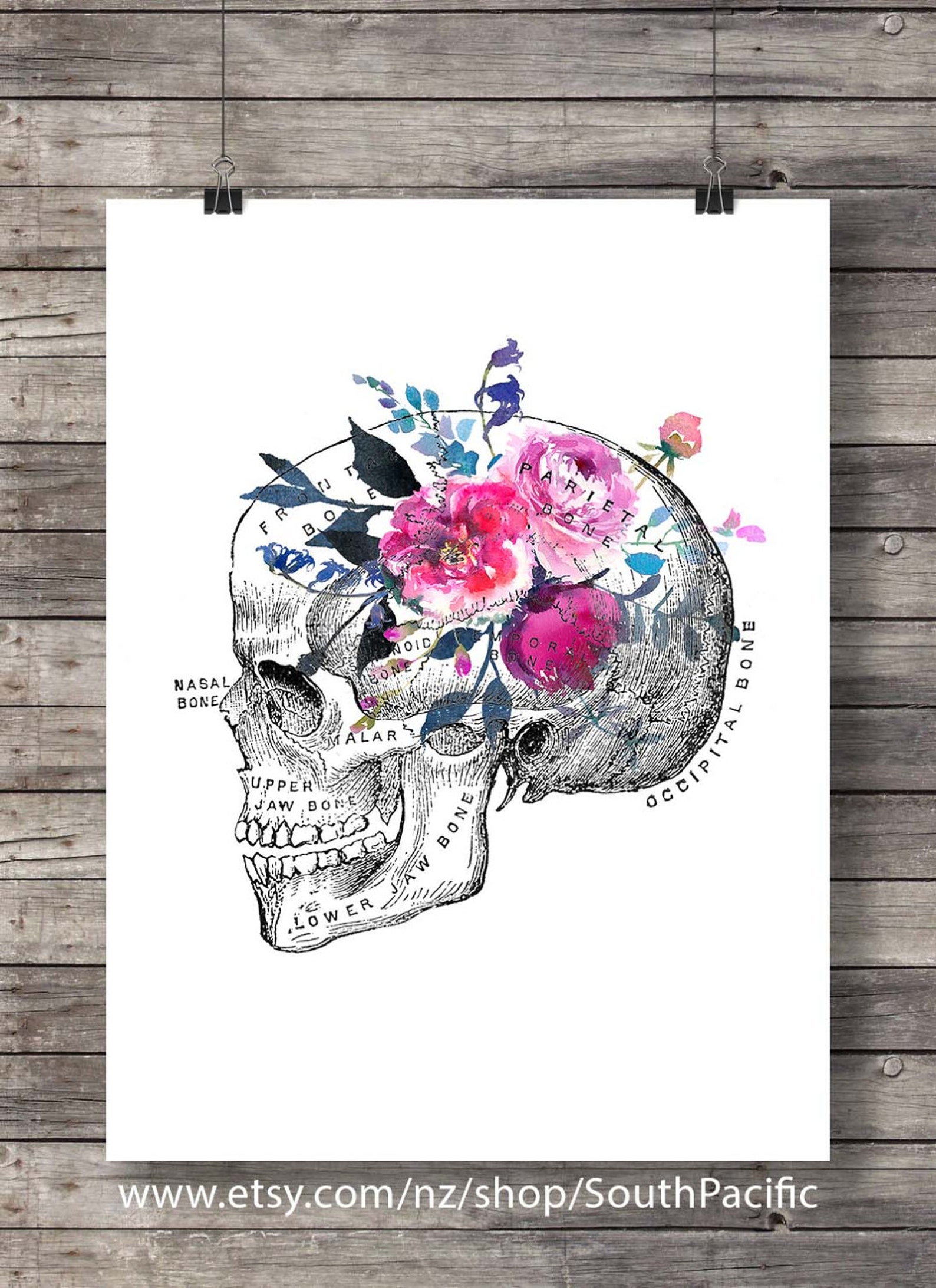 Skull Printable Art Watercolor Flower Floral Anatomy Skull - Etsy