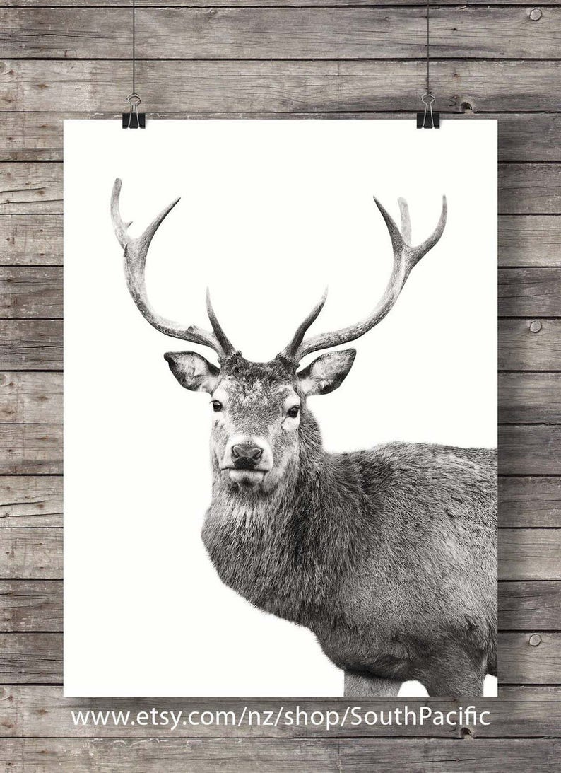 Red Deer Art Print Printable Art Cute Deer Face Sepia Deer - Etsy