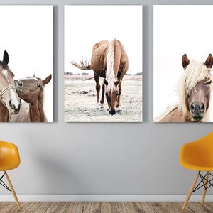 Horses art prints | Set of three horse photographs | boho decor