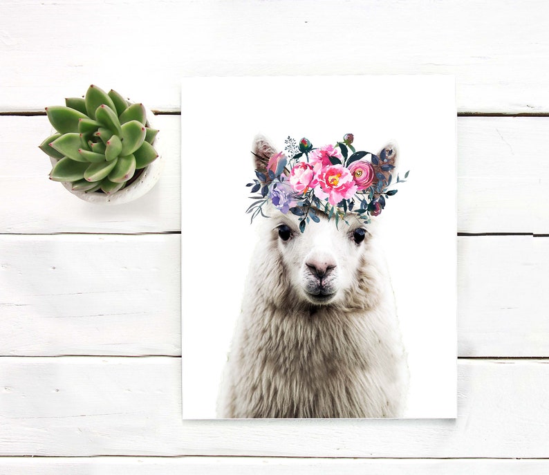 Alpaca art print Llama Printable art Cute Alpaca face Flower | Etsy