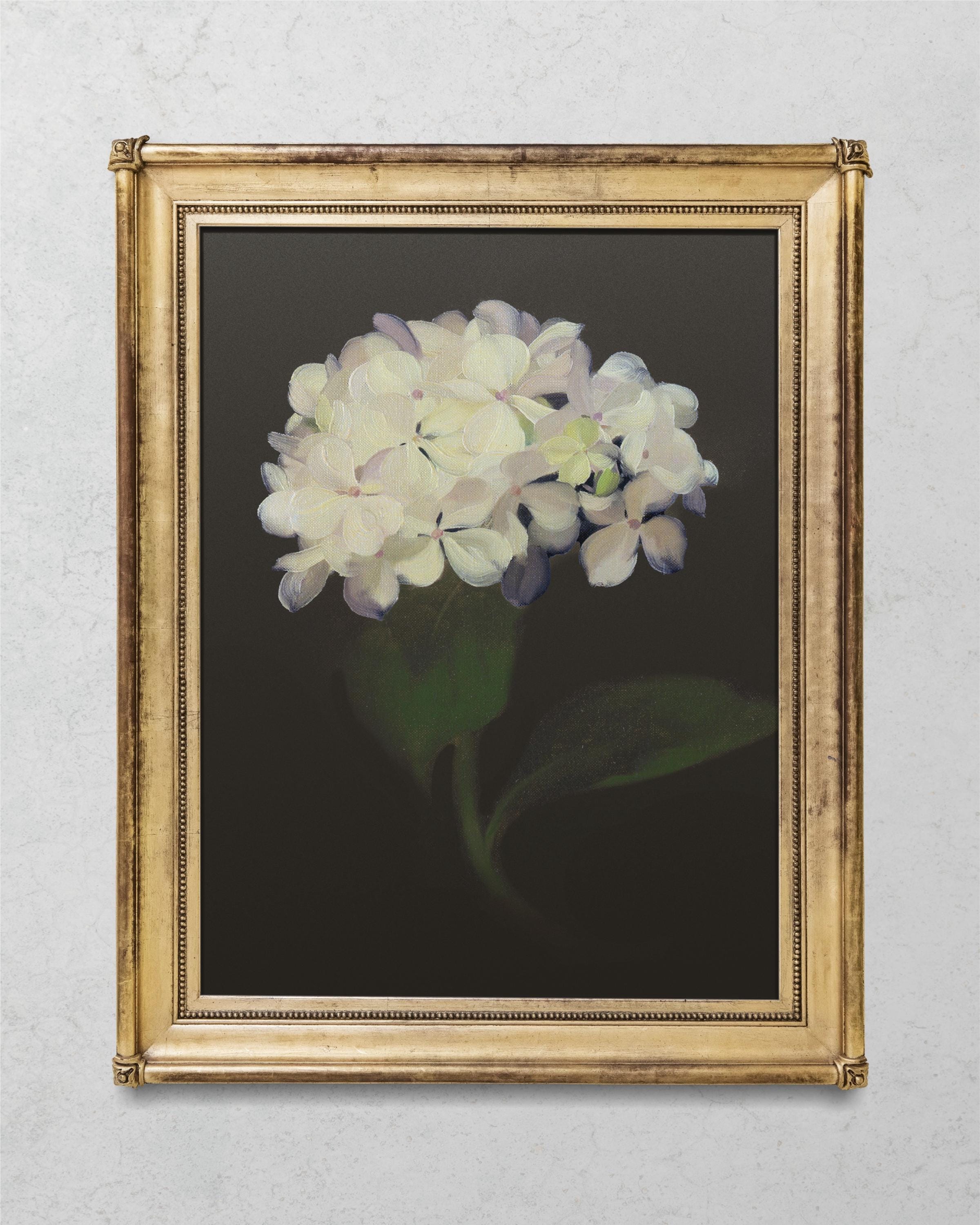 Vintage Hydrangea Art Print: Moody Botanical Decor, Antique Painting - Etsy