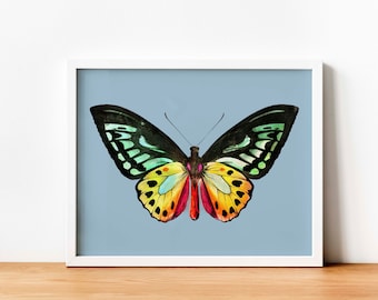 Vintage butterfly illustration | Fall decor printable