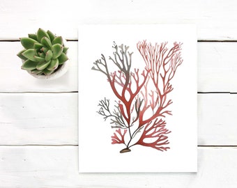Printable art Nautical Watercolor red ink botanical seaweed coral