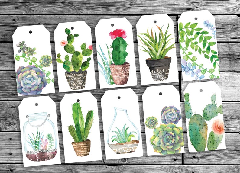 Botanical cacti gift tags Printable Botanical cards Cactus succulent gift tags image 1