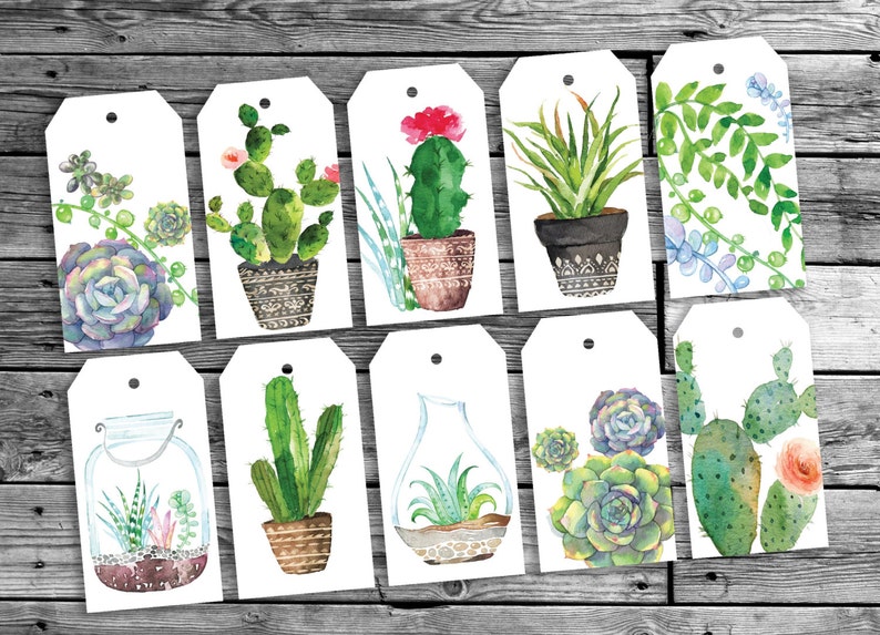 Botanical Cacti Gift Tags Printable Botanical Cards Cactus Etsy
