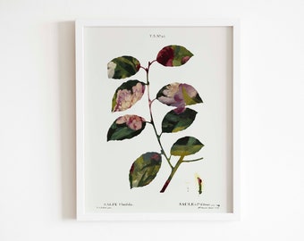 Botanical abstract art |  Printable art | painted plant branch leaf | Oil painting | Botanical illustration