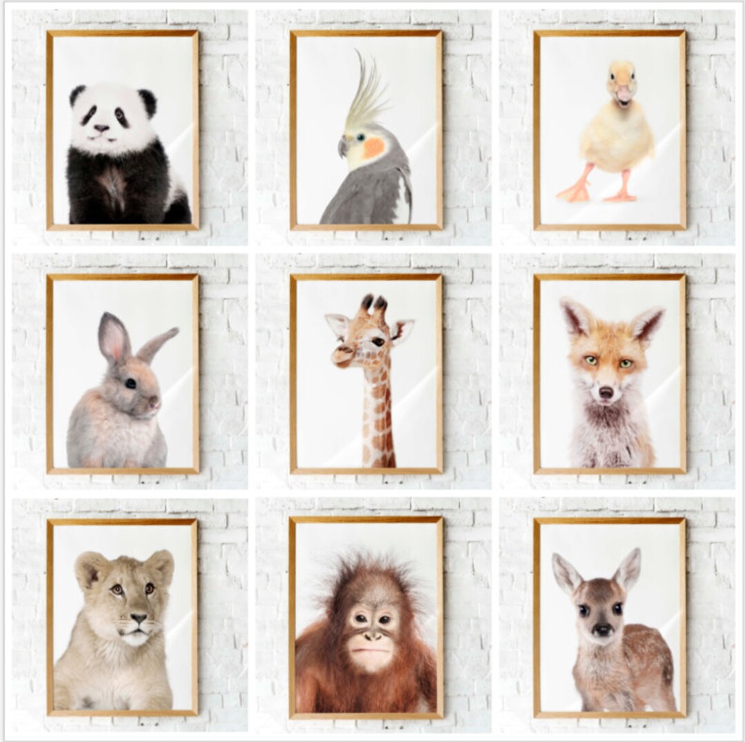 Set of NINE Baby Animal Prints | Printable Nursery Art | Wild Animal ...
