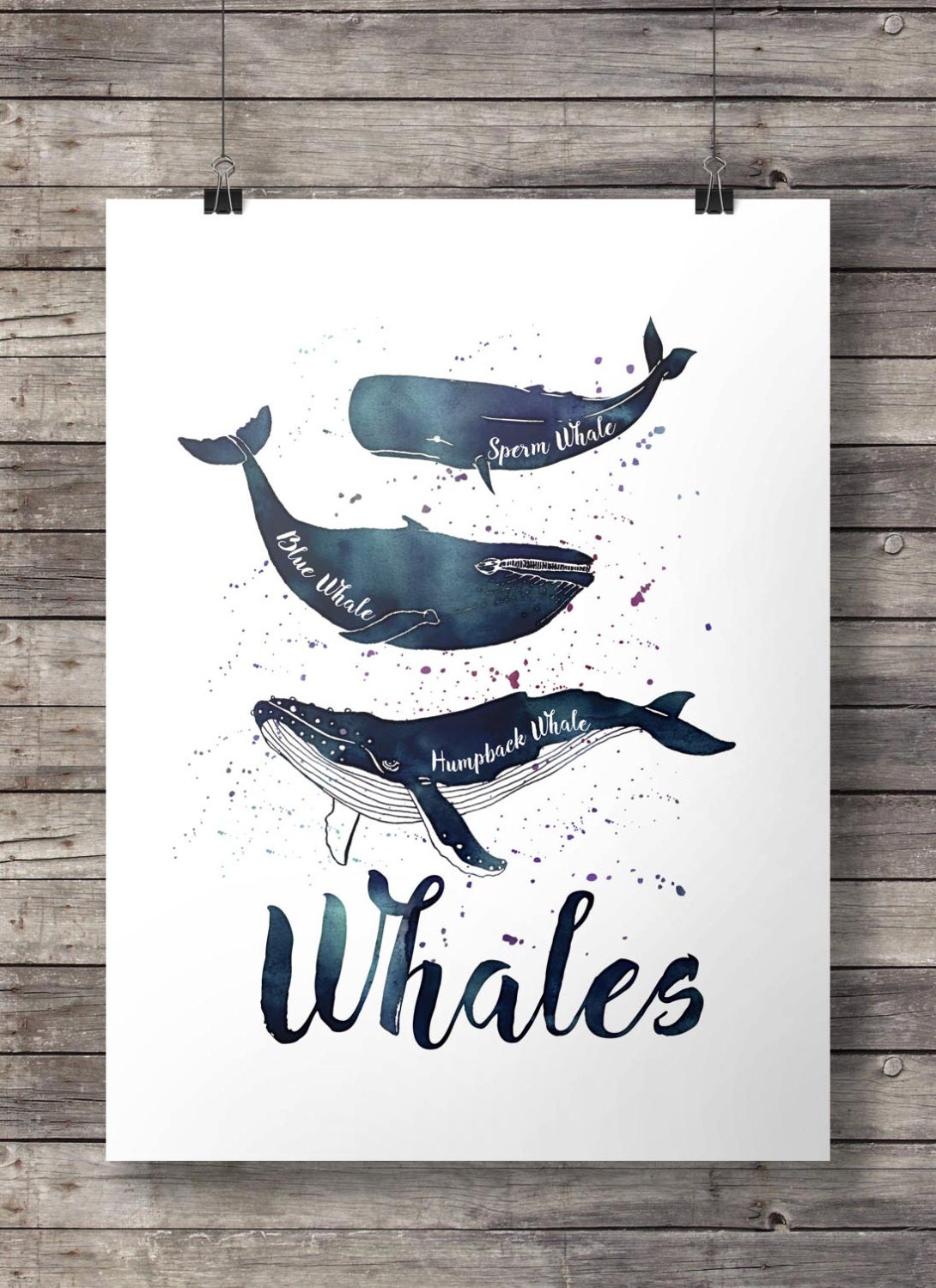  Vintage Ship, Whale and Hand Lettering Watercolor Ink